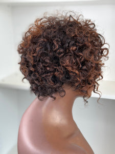 Liz-6" Lace Frontal Deep Curly Wet & Wavy Glueless Human Hair Wig